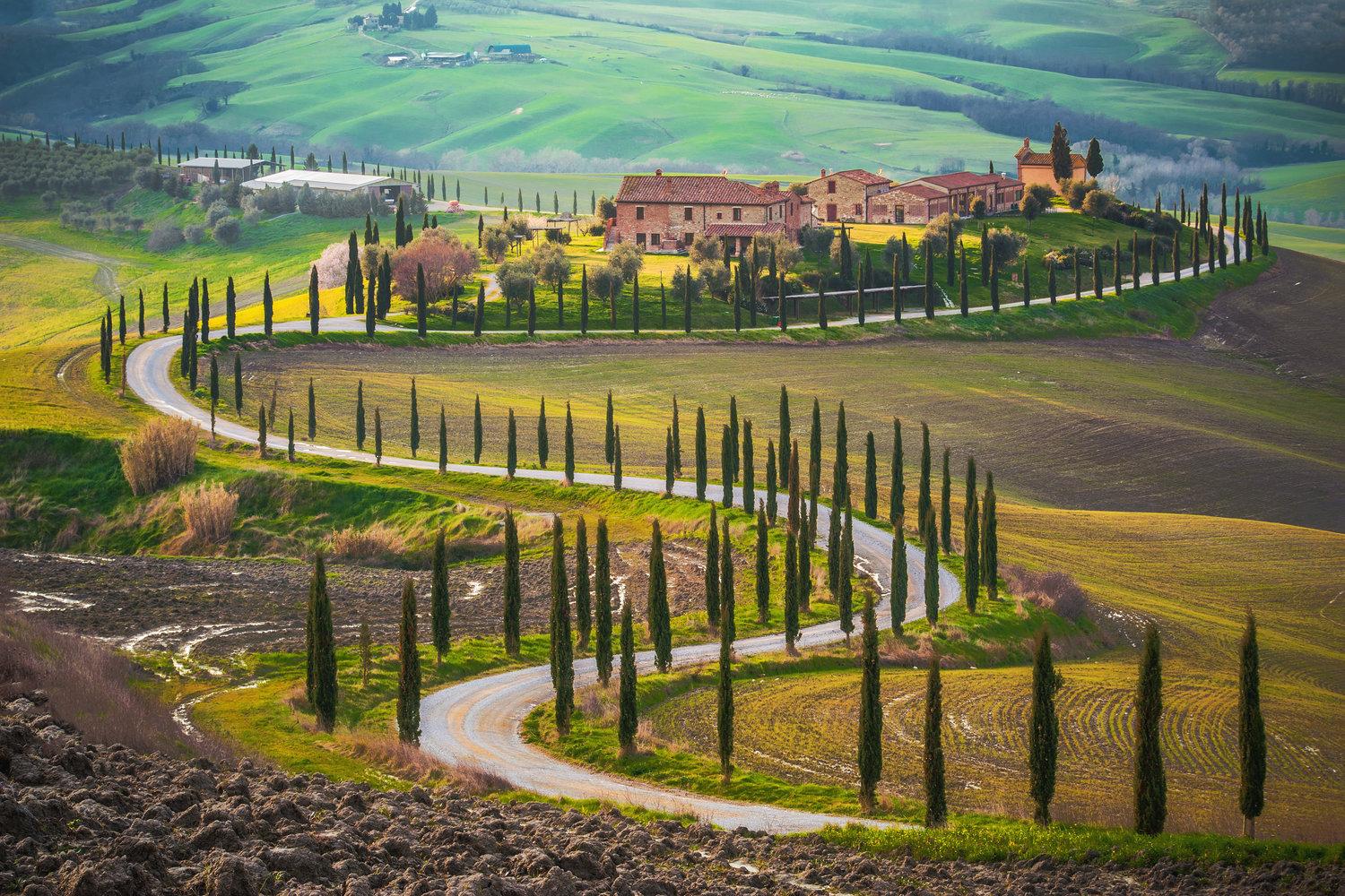 A vineyard-lined road through Chianti hills