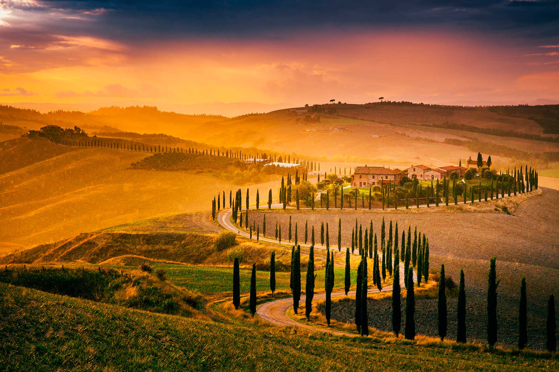 Rolling clay hills of the Crete Senesi landscape