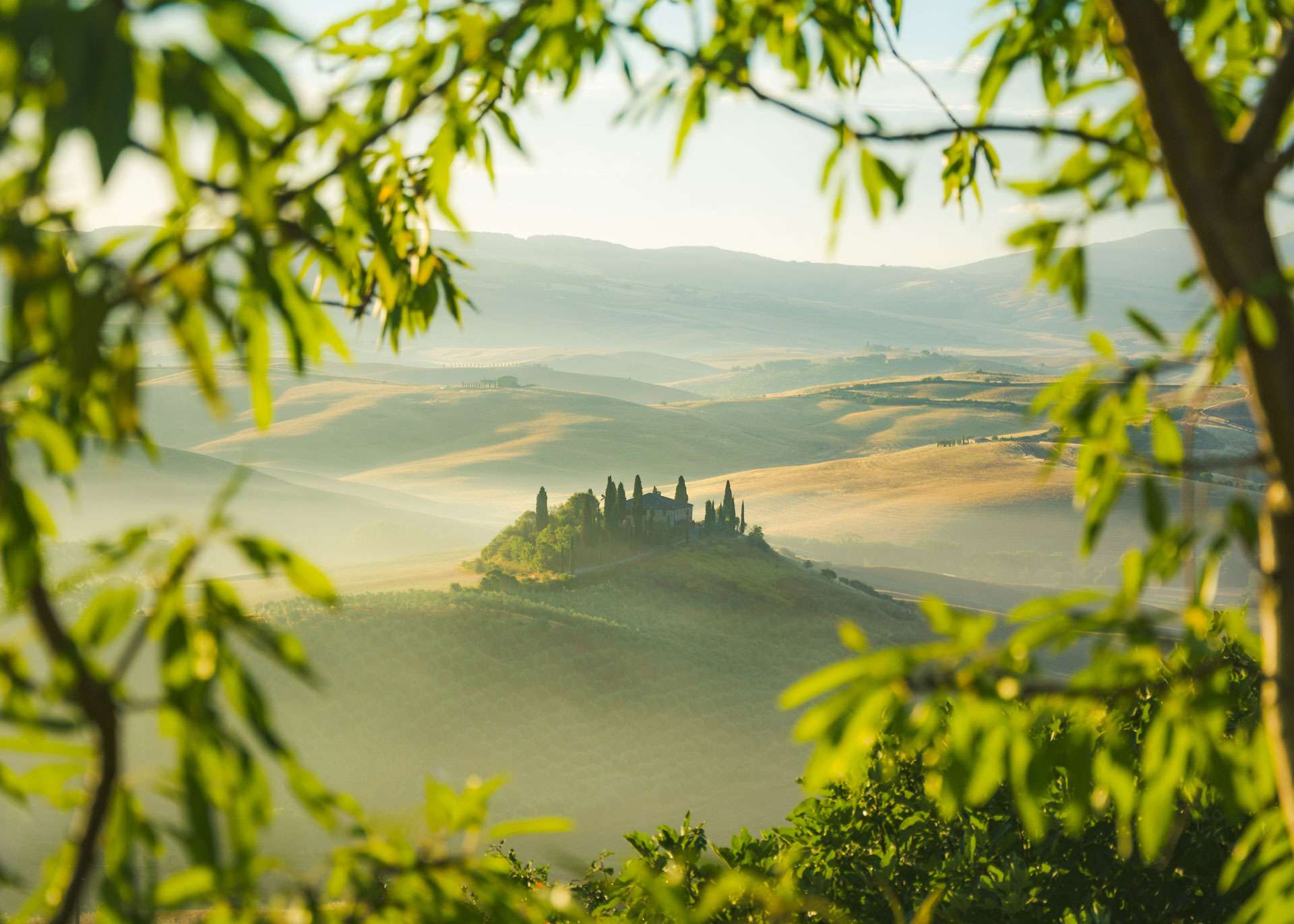 Cypress-lined road in Val d'Orcia countryside
