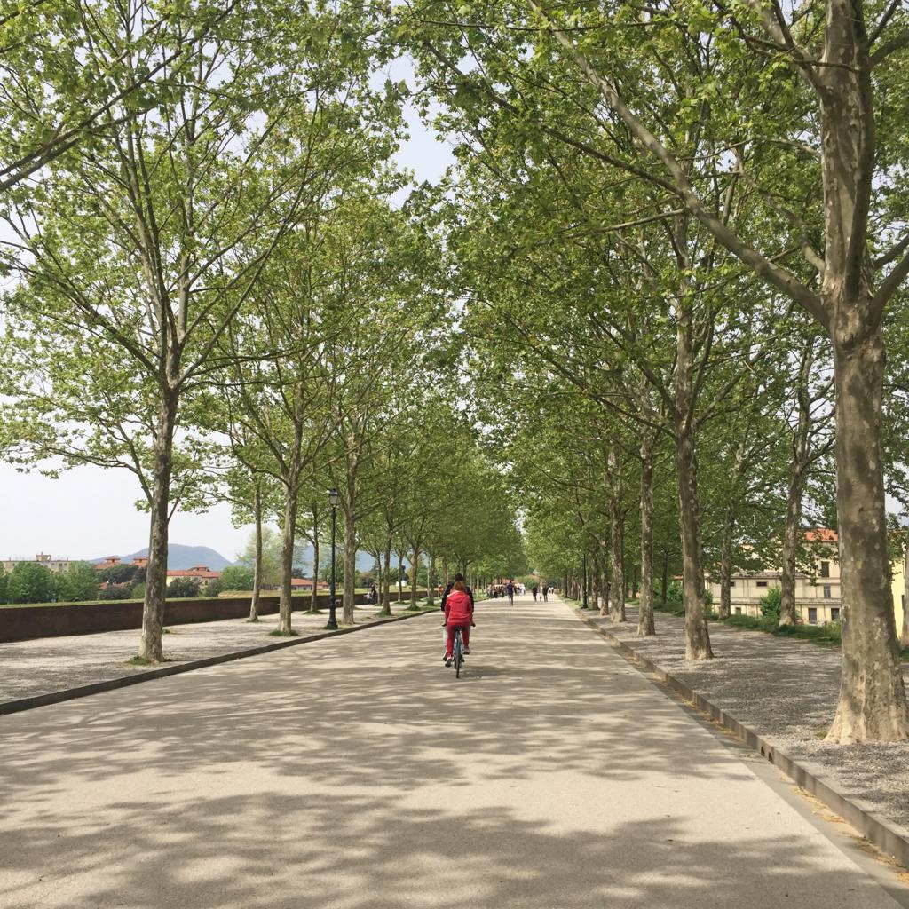 A bicycle leaning near a scenic walkway, suggesting a casual ride